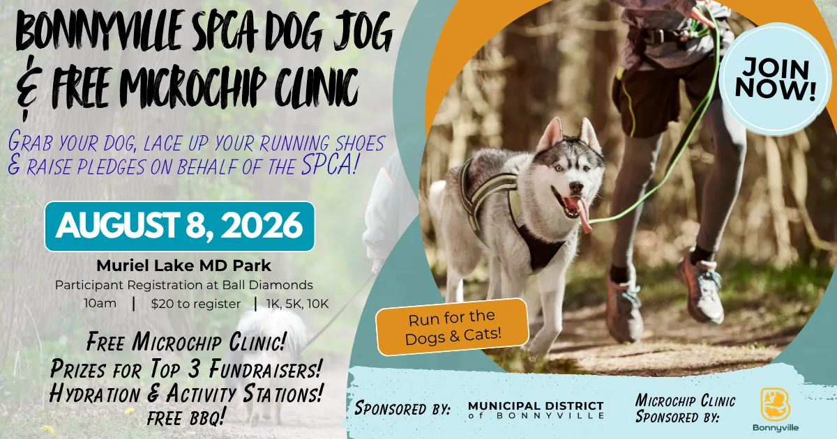 Dog & Jog Microchip Clinic