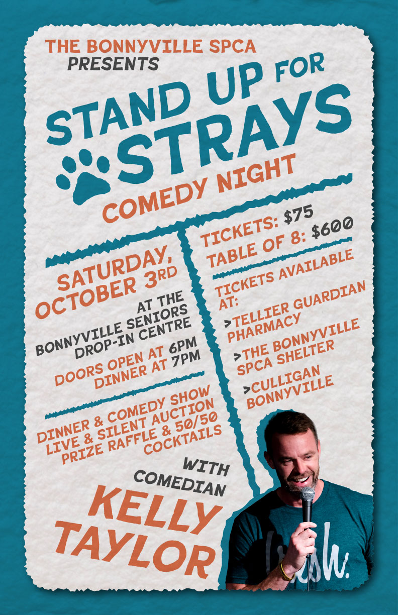 Stand Up for Strays Stand Up for Strays